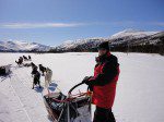 Helga-Salmon---dog-sledding