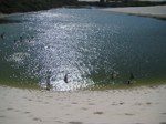 Lençois Lagoa dos Peixes