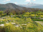 Turquia