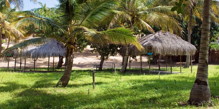 Pacote para Moçambique