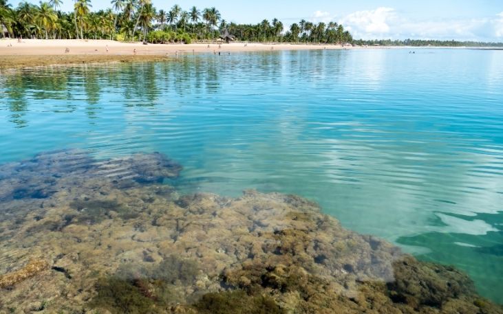 crystal clear water in Taipus de Fora, Maraú, Brazil - Casa dos Arandis