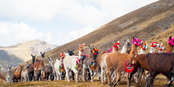Pacotes para Peru e Machu Picchu