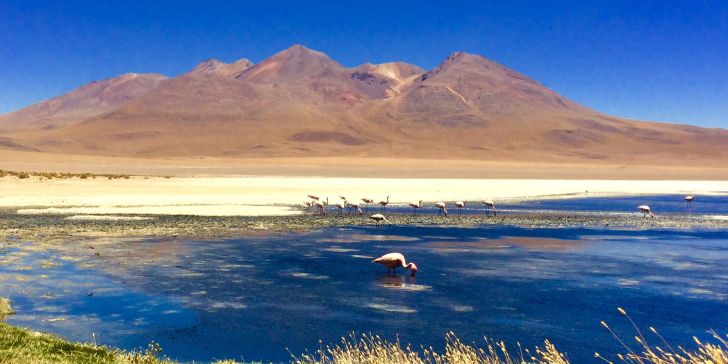 pacotes bolivia