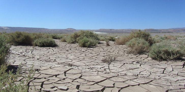 Pacotes para Deserto do Atacama