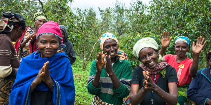 Gashonga cooperative cyangugu - Pacotes para Ruanda e Uganda