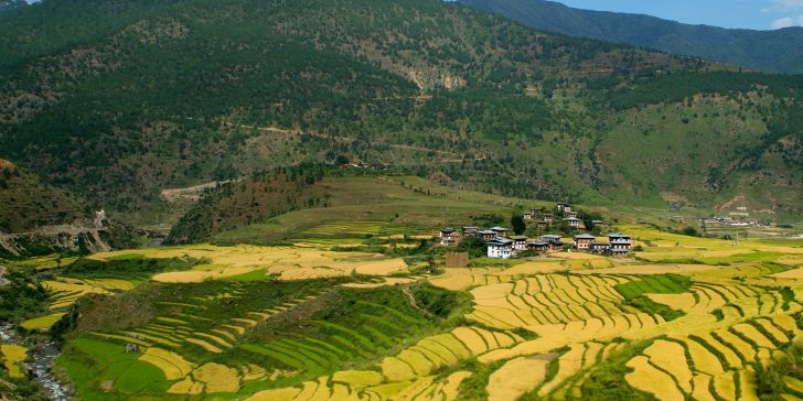 Bhutan, Punakha - Pacotes para Butão - Butão