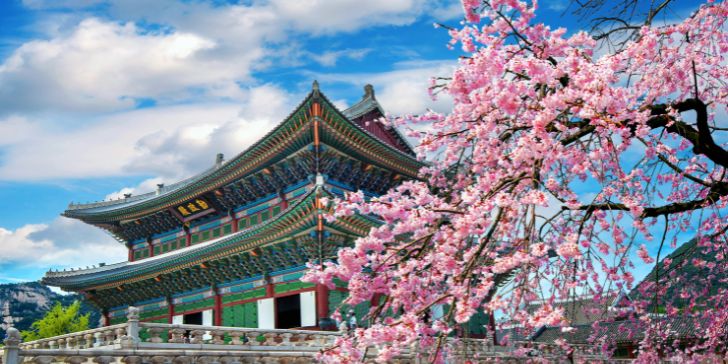 Cherry blossoms in spring, Seoul in Korea - Pacotes para Coréia do Sul - Clima em Coréia do Sul
