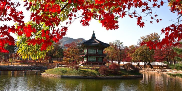 Gyeongbok Palace in South Korea - Pacotes para Coréia do Sul