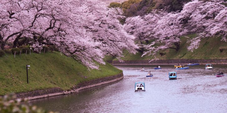 Moat, Tokyo, Japan - Pacotes para Japão