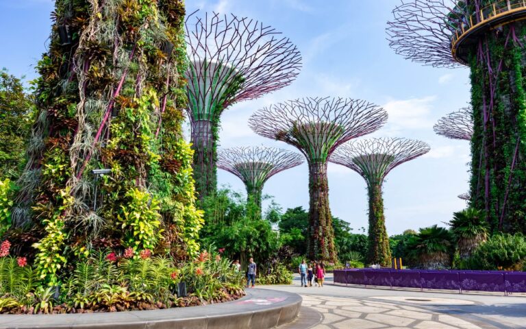 Supertree Gardens by the Bay in Singapore - Pacotes para Singapura - Bali