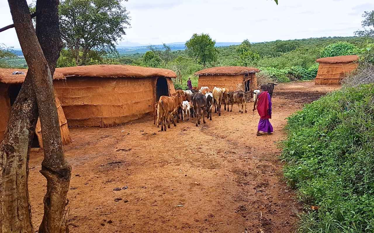Tribo Masai em Arusha na Tanzânia - África