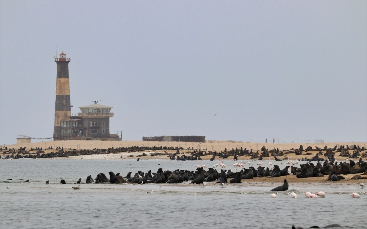 Walvis Bay-Namibia-Africa-canva
