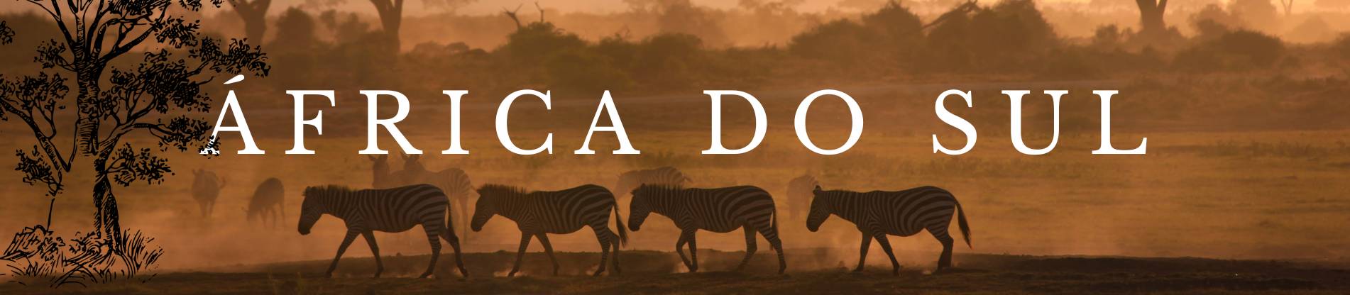 Pacotes para África do Sul