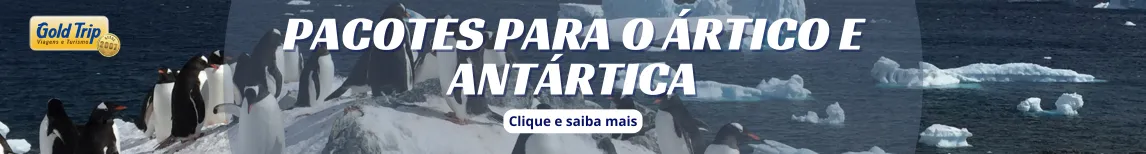 Banner pacotes para o Ártico e Antártica da Gold Trip