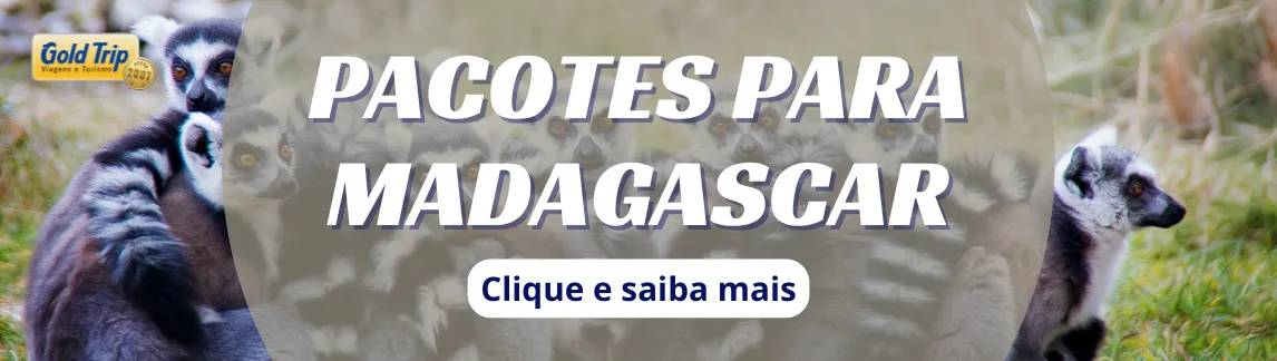 Banner celular pacotes para Madagascar da Gold Trip
