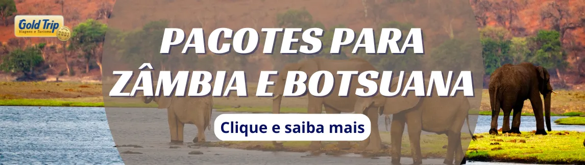 Banner celular pacotes para Zâmbia e Botsuana da Gold Trip