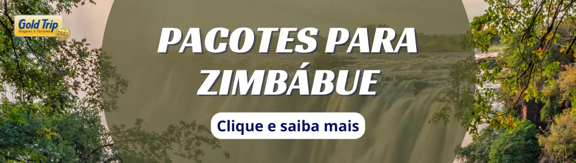 Banner celular pacotes para o Zimbábue com a Gold Trip