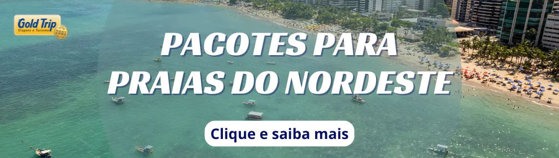Banner Clima em Praias do Nordeste