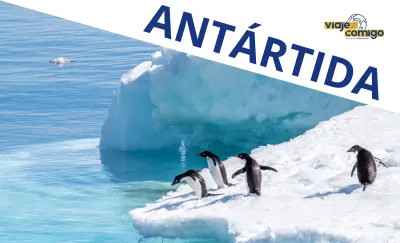 Vídeos Viaje Comigo - Antártida