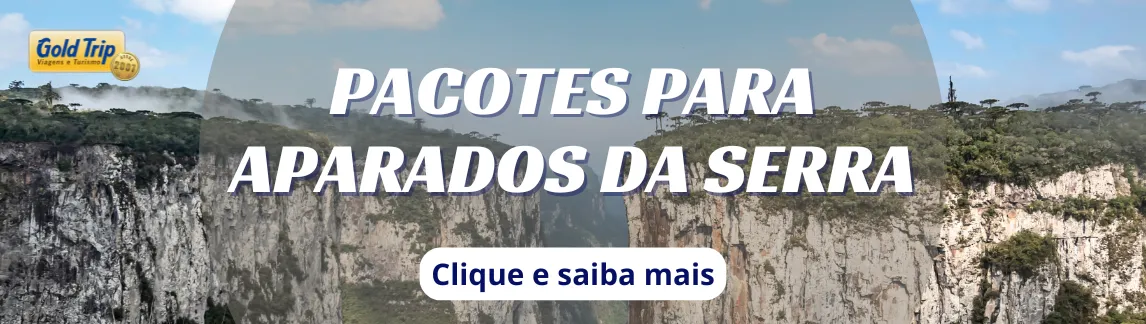 Imagem autoral - Aparados da serra
