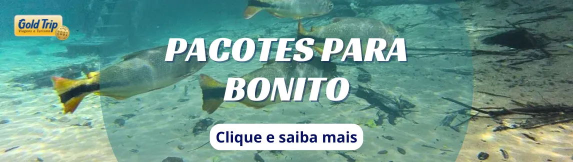 Banner Clima em Bonito