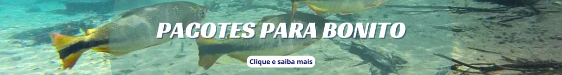 Banner Bonito desktop