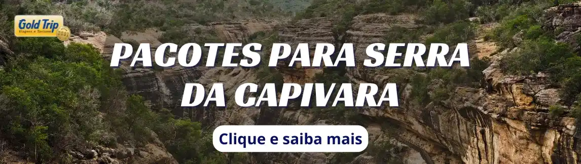 Banner Clima em Serra da Capivara
