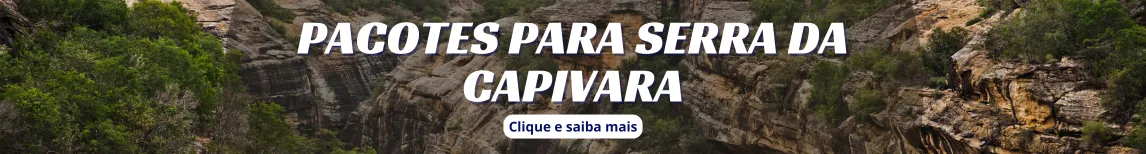Banner Clima em Serra da Capivara