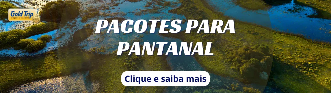 Banner Clima em Pantanal
