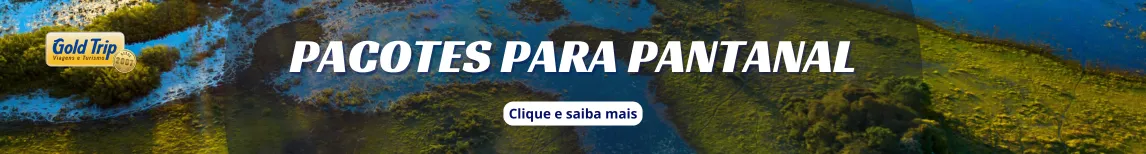 Banner Clima em Pantanal