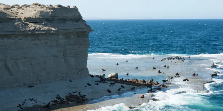 Península Valdés - Patagônia