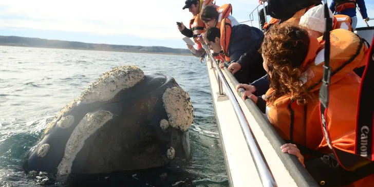 Puerto Madryn - Patagônia Argentina