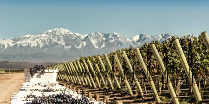 Top 5 destinos na Argentina: Mendoza
