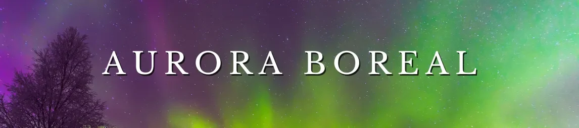 Banner Aurora Boreal_11zon