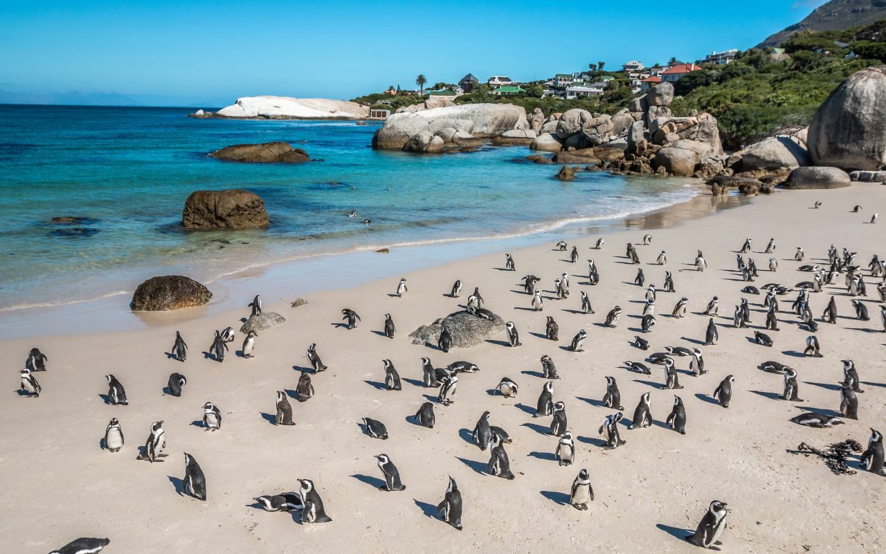 Praia em Cape Town na África do Sul