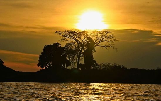 Lago Vitória em Kampala