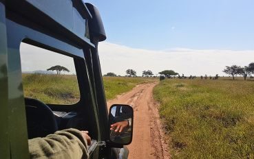 Safári pela Cratera de Ngorongoro - Tanzânia - África