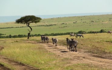 Quênia-Africa-autoral 1
