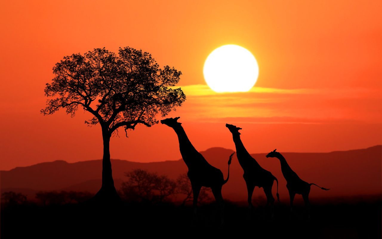 Pôr do sol na África do Sul